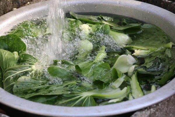 怎么避免农药残留超标，使用低毒农药并控制用量