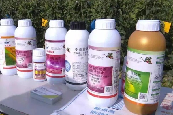 怎么避免农药残留超标，使用低毒农药并控制用量