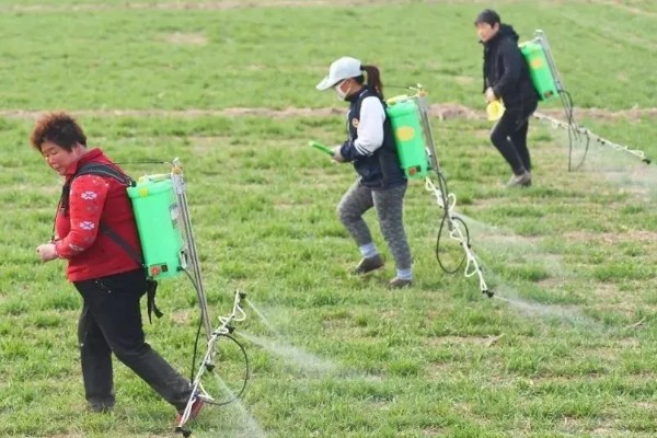 怎么避免农药残留超标，使用低毒农药并控制用量