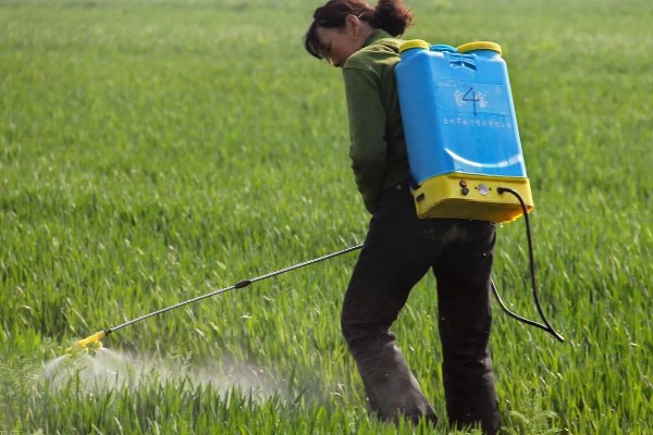 怎么避免农药残留超标，使用低毒农药并控制用量