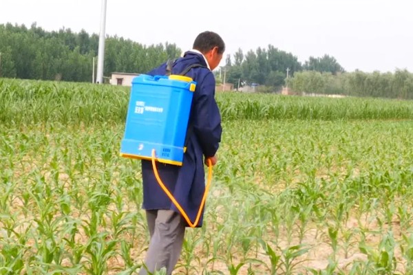 怎么避免农药残留超标，使用低毒农药并控制用量