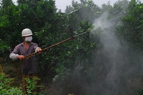 怎么避免农药残留超标，使用低毒农药并控制用量