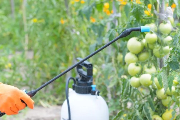 怎么避免农药残留超标，使用低毒农药并控制用量