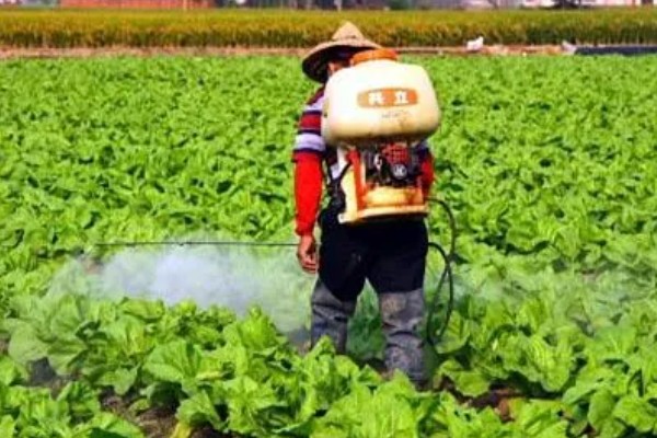 怎么避免农药残留超标，使用低毒农药并控制用量
