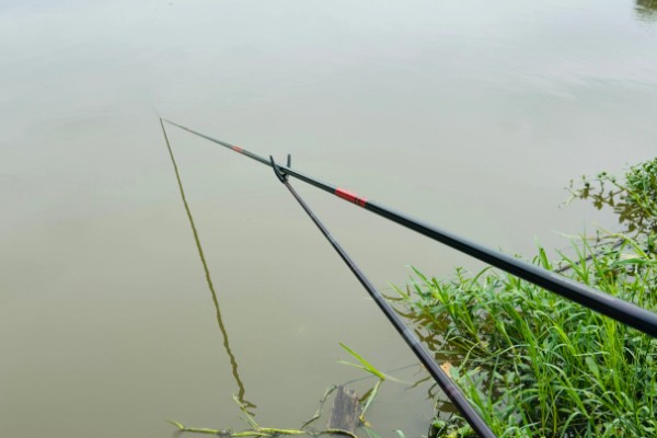 早春钓鲫鱼怎么搭配线组，垂钓小鲫鱼使用0.4号子线和0.8号主线