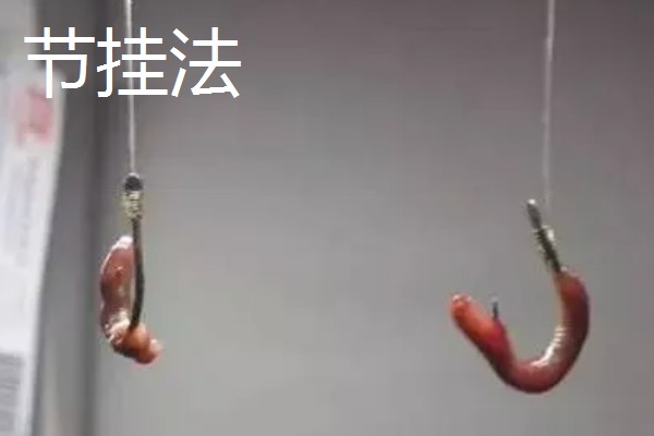 早春钓鲫鱼怎么搭配线组，垂钓小鲫鱼使用0.4号子线和0.8号主线