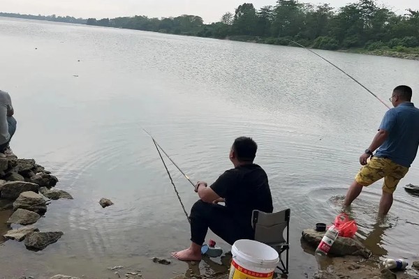 早春钓鲫鱼怎么搭配线组，垂钓小鲫鱼使用0.4号子线和0.8号主线