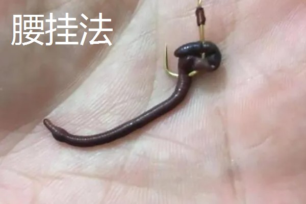 早春钓鲫鱼怎么搭配线组，垂钓小鲫鱼使用0.4号子线和0.8号主线