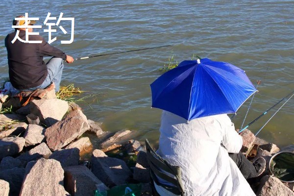 早春钓鲫鱼怎么搭配线组，垂钓小鲫鱼使用0.4号子线和0.8号主线