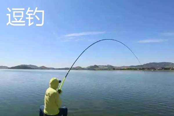 早春钓鲫鱼怎么搭配线组，垂钓小鲫鱼使用0.4号子线和0.8号主线