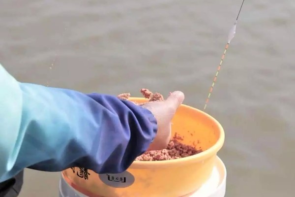 早春钓鲫鱼怎么搭配线组，垂钓小鲫鱼使用0.4号子线和0.8号主线