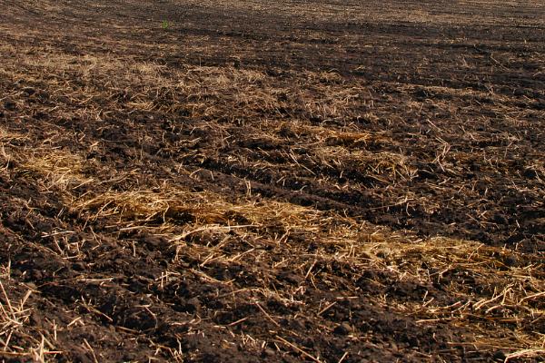 威百亩如何使用,稀释至70倍左右方可使用