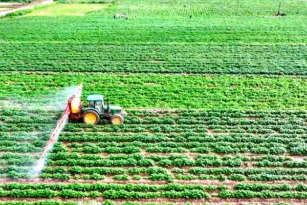 威百亩如何使用,稀释至70倍左右方可使用