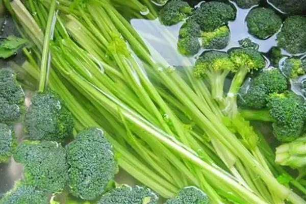 瓜果蔬菜类可用哪种消毒液浸泡，过氧乙酸、高锰酸钾等药物均可选择