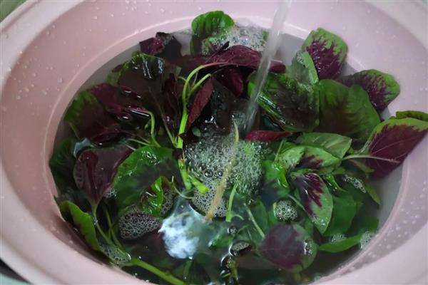 瓜果蔬菜类可用哪种消毒液浸泡，过氧乙酸、高锰酸钾等药物均可选择