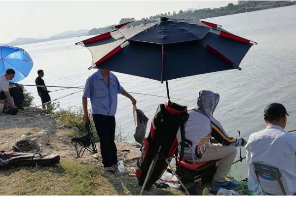 五月怎么钓鱼,要根据鱼情和天气等搭配线组