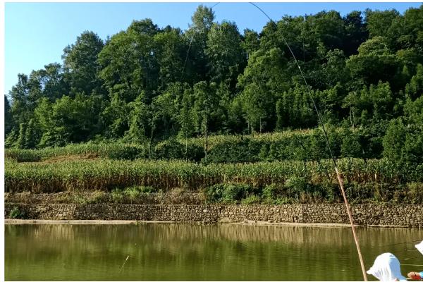 五月怎么钓鱼,要根据鱼情和天气等搭配线组