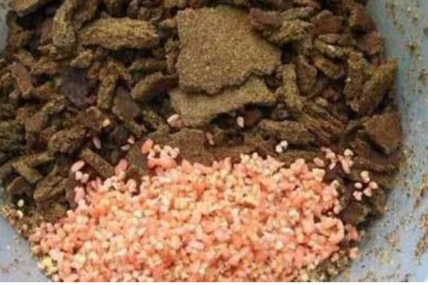 五月怎么钓鱼,要根据鱼情和天气等搭配线组