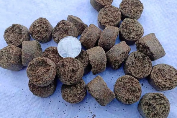 玉肥适合哪种植物,适合金樱花、黄杨、丁香等