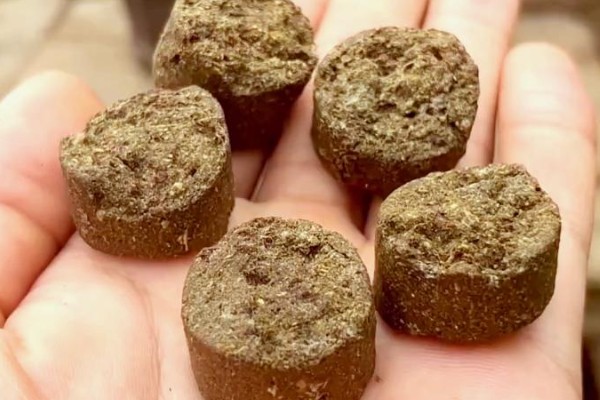 玉肥适合哪种植物,适合金樱花、黄杨、丁香等