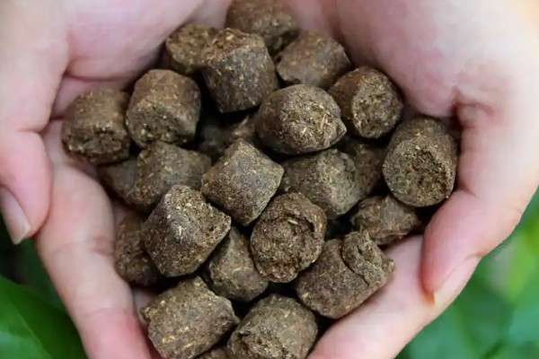 玉肥适合哪种植物,适合金樱花、黄杨、丁香等