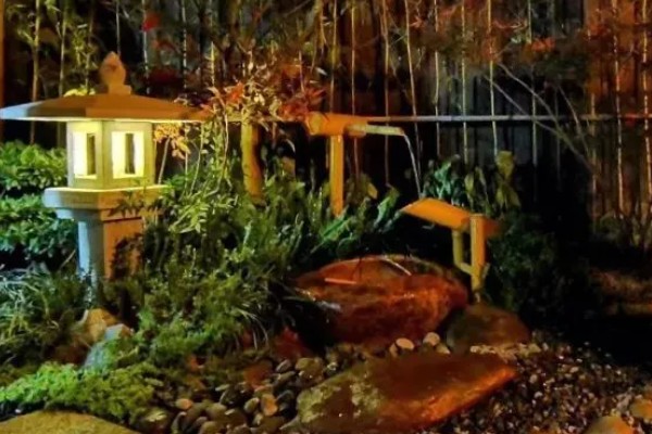 二星瓢虫是不是害虫，属于益虫平时会捕食蚜虫等害虫