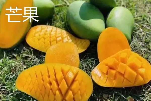 低热量的水果有哪些,常见的有柚子、枇杷等