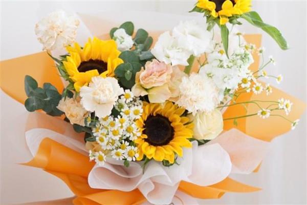 蓝色雏菊有什么花语,代表忧郁忧愁、可爱小巧等含义