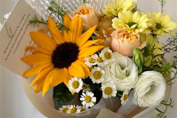 蓝色雏菊有什么花语,代表忧郁忧愁、可爱小巧等含义