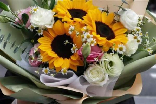 蓝色雏菊有什么花语,代表忧郁忧愁、可爱小巧等含义