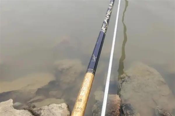 十年情鱼竿简介，属于美人鱼旗下经典鱼竿