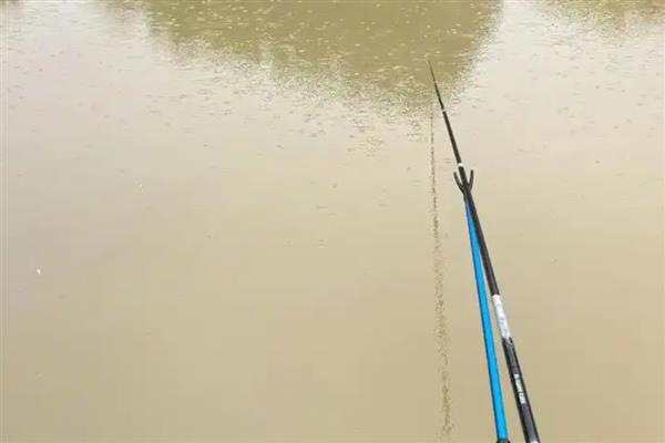 十年情鱼竿简介，属于美人鱼旗下经典鱼竿