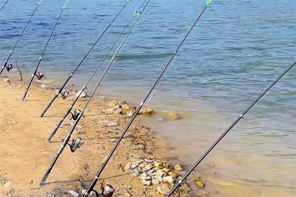 十年情鱼竿简介，属于美人鱼旗下经典鱼竿