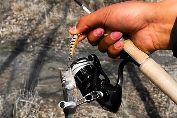 十年情鱼竿简介，属于美人鱼旗下经典鱼竿