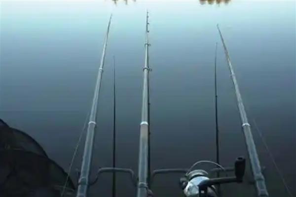 十年情鱼竿简介，属于美人鱼旗下经典鱼竿