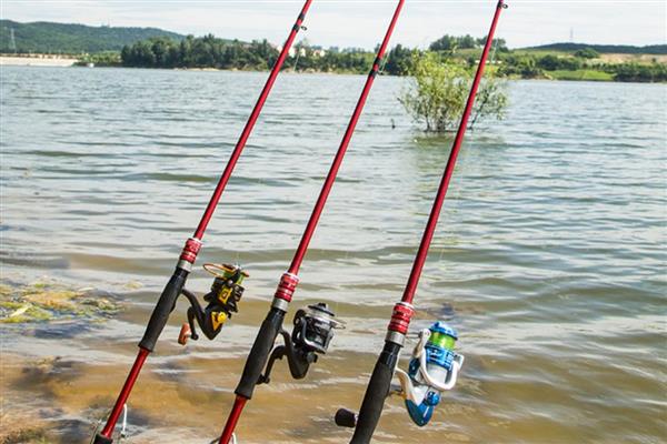 十年情鱼竿简介，属于美人鱼旗下经典鱼竿