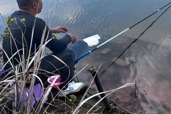 丸世8号钩可以钓多大的鱼，能钓4斤以内的鱼