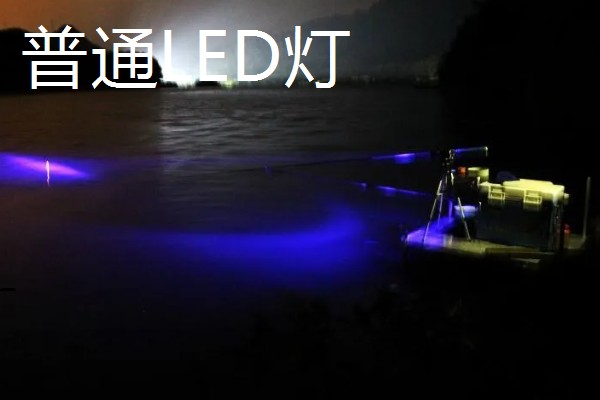 开拓顶点夜钓灯推荐款式，以下5种均值得考虑