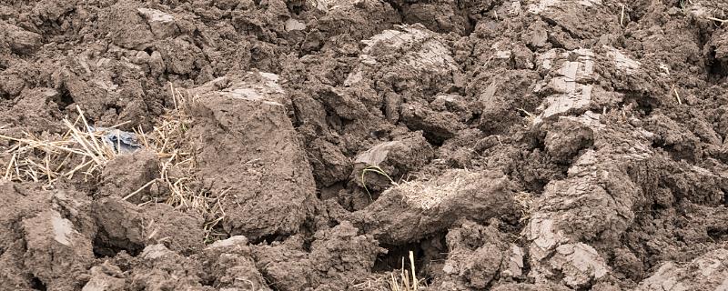 土壤板结如何快速弄松,需要施用有机肥料