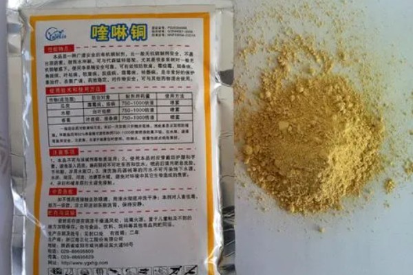 喹啉铜如何正确使用,要降低使用浓度