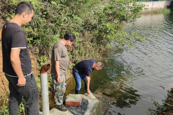 养虾的注意事项，根据技术条件合理放养虾苗