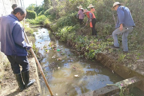 养虾的注意事项，根据技术条件合理放养虾苗