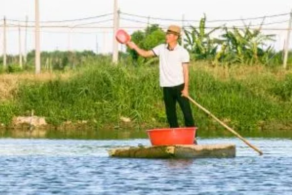 养虾的注意事项，根据技术条件合理放养虾苗