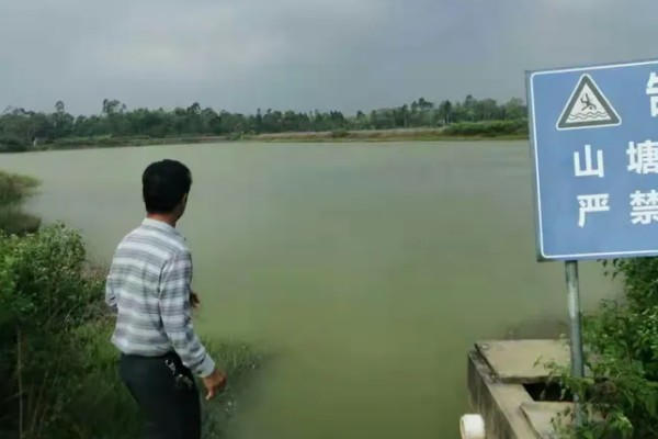 养虾的注意事项，根据技术条件合理放养虾苗