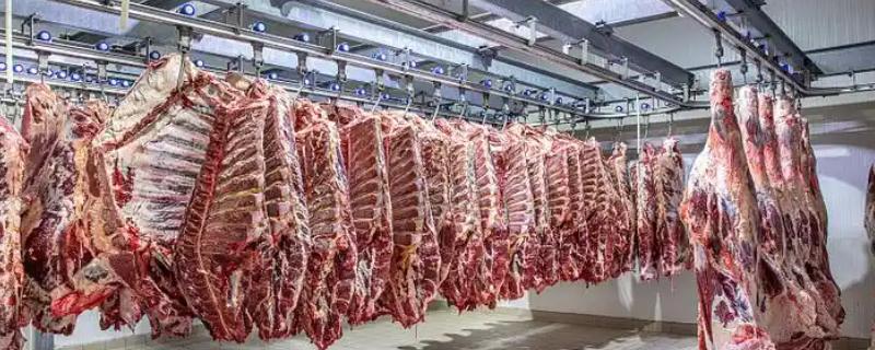 屠宰场的利润大不大，生猪屠宰场的利润率为3-5%