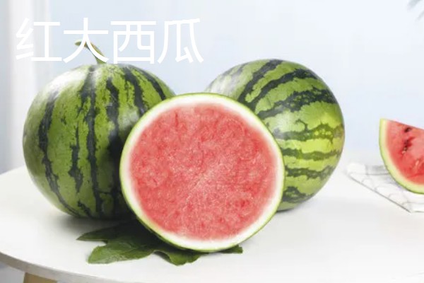 种植无籽西瓜的方法,苗期亩施尿素5公斤