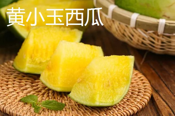 种植无籽西瓜的方法,苗期亩施尿素5公斤