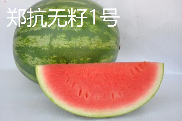 种植无籽西瓜的方法,苗期亩施尿素5公斤