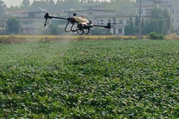 精喹禾灵怎么使用,根据防治对象决定用药量