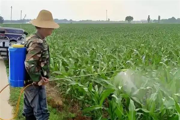 精喹禾灵怎么使用,根据防治对象决定用药量